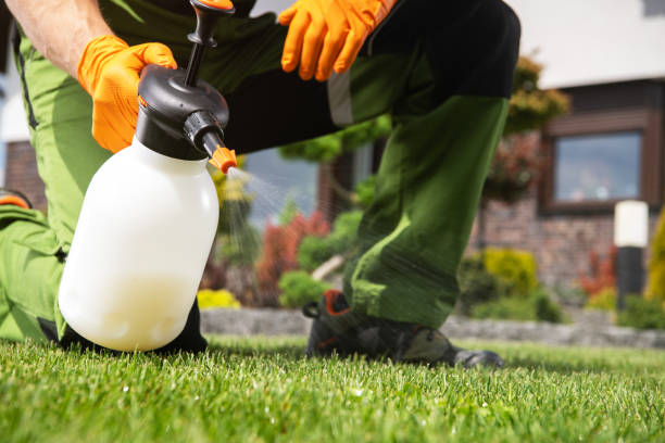 Best Exterminator Services  in Lahaina, HI